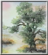 B�ume und Landschaft - Bilder in Aquarell